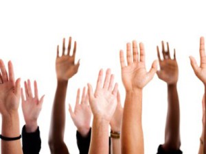 Take part in consultations